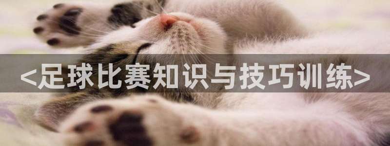 xc体育app官方网站：<足球比赛知识与技巧训练>