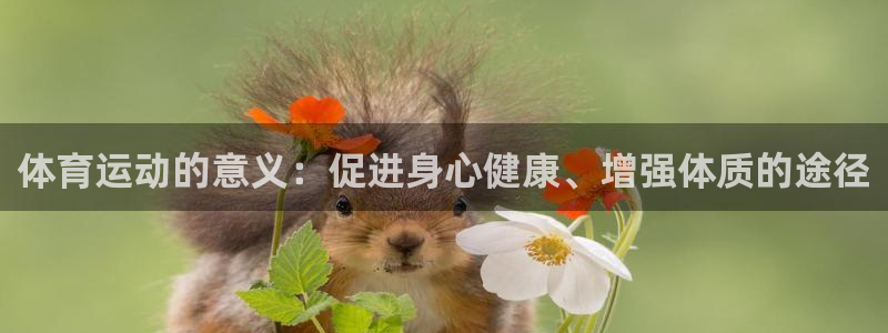 xc体育app官方网站