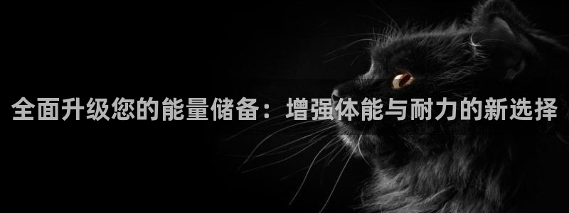 xc体育：全面升级您的能量储备：增强体能与耐力的新选择