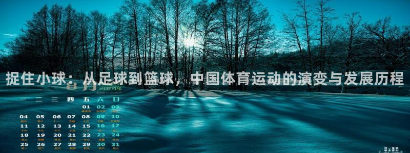 xc体育app官方网站