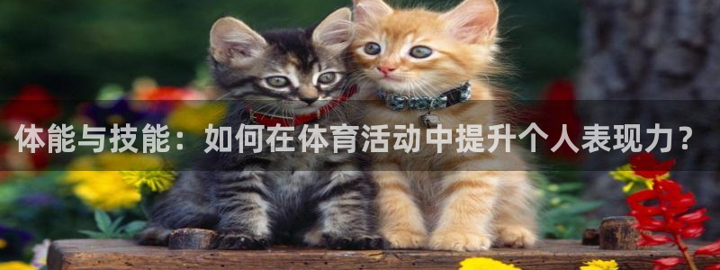 xc体育：体能与技能：如何在体育活动中提升个人表现力？
