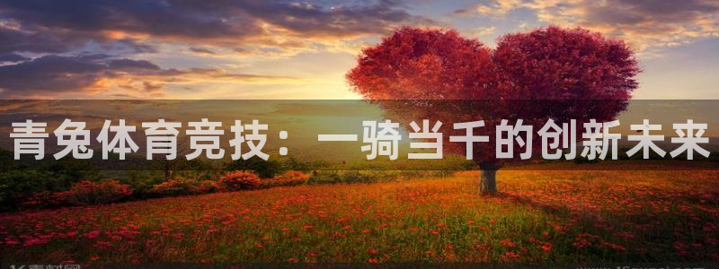 xc体育app官方网站