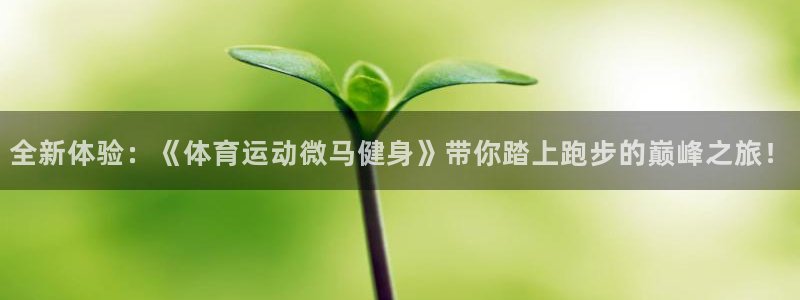 xc体育app官方网站