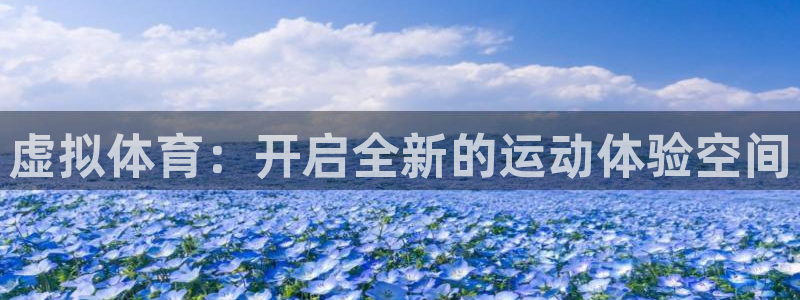 xc体育app官方网站