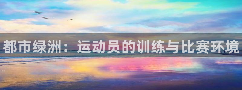 xc体育