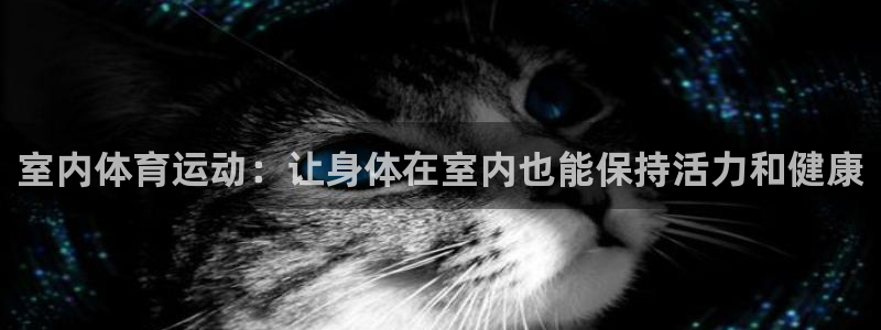 xc体育：室内体育运动：让身体在室内也能保持活力和健康