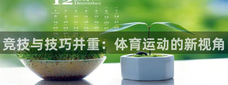 xc体育：竞技与技巧并重：体育运动的新视角