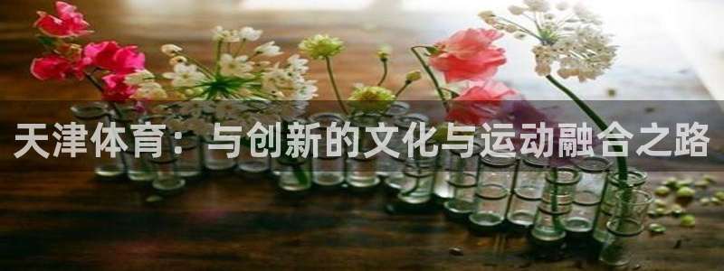 xc体育：天津体育：与创新的文化与运动融合之路